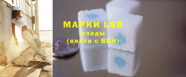 apvp Магас