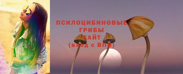 mdpv Медногорск