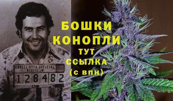 крисы Магадан