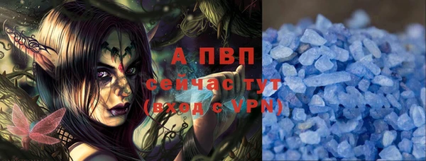 крисы Магадан