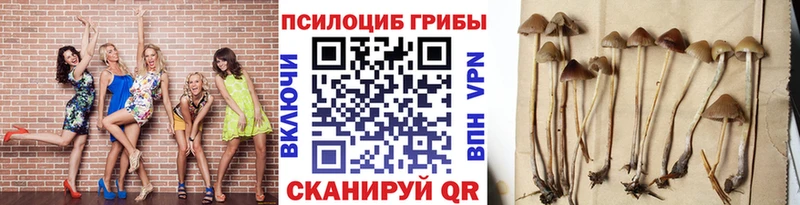 Псилоцибиновые грибы мухоморы  хочу   Гвардейск 
