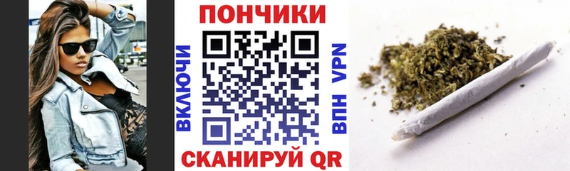 где найти   Гвардейск  блэк спрут зеркало  Бошки Шишки гибрид 